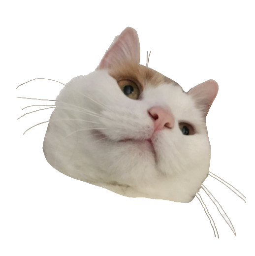 silly cat sticker