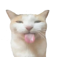 silly cat sticker