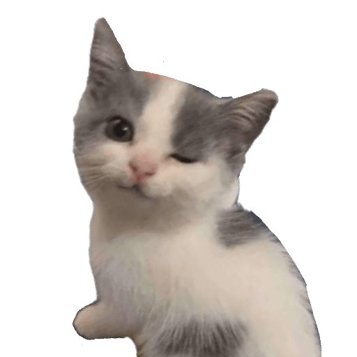 silly cat sticker